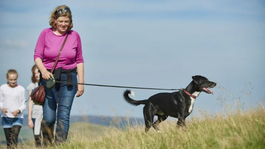 Avoiding Injury When Walking You Furry Friend walking your dog safely 5 7
